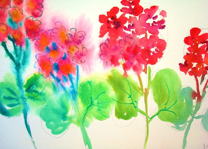 728x523 How To Paint Geraniums In Watercolor 13 Steps (With Pictures) - Wet On Wet Watercolor Flowers