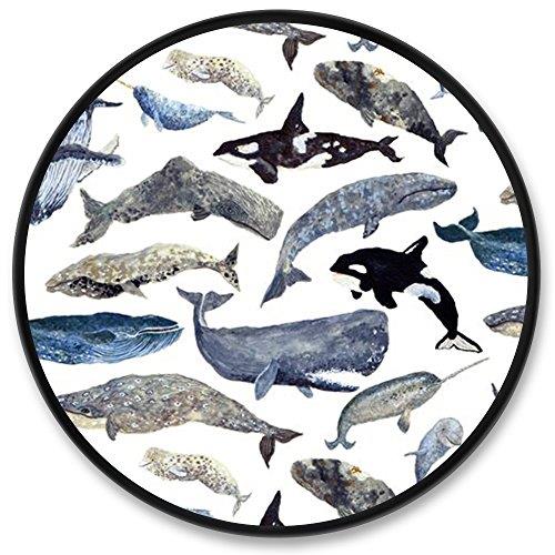 500x500 Watercolor Dolphin Whale Shark Phone Stand, Akon Customized - Whale Shark Watercolor