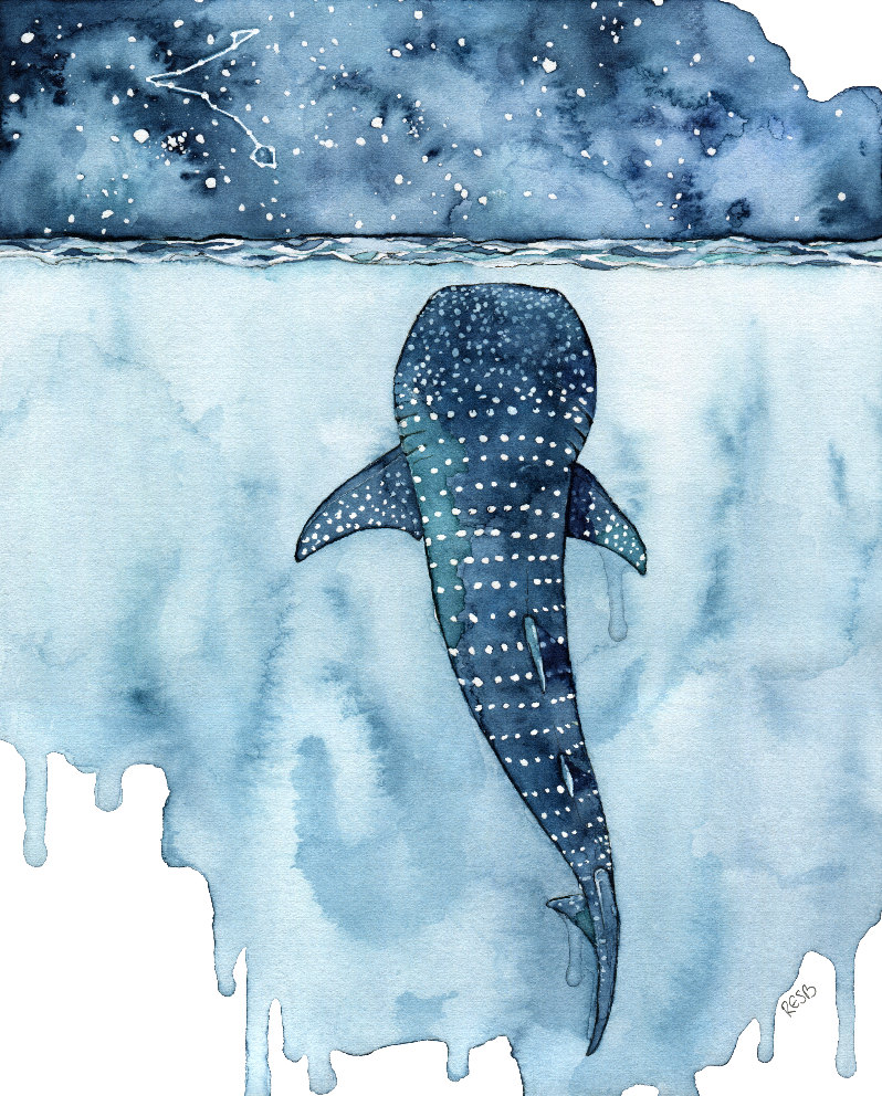 798x992 Watercolor Painting Whale Shark Painting Whale Painting Etsy - Whale Shark Watercolor