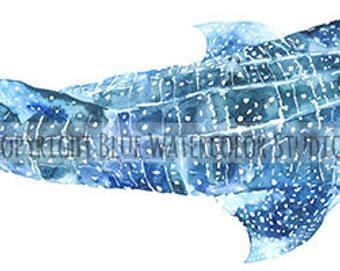 340x271 Whale Shark Painting - Whale Shark Watercolor