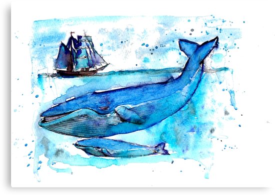 550x391 Humpback Whale, Humpback, Whale, Watercolor Humpback, Watercolor - Whale Watercolor