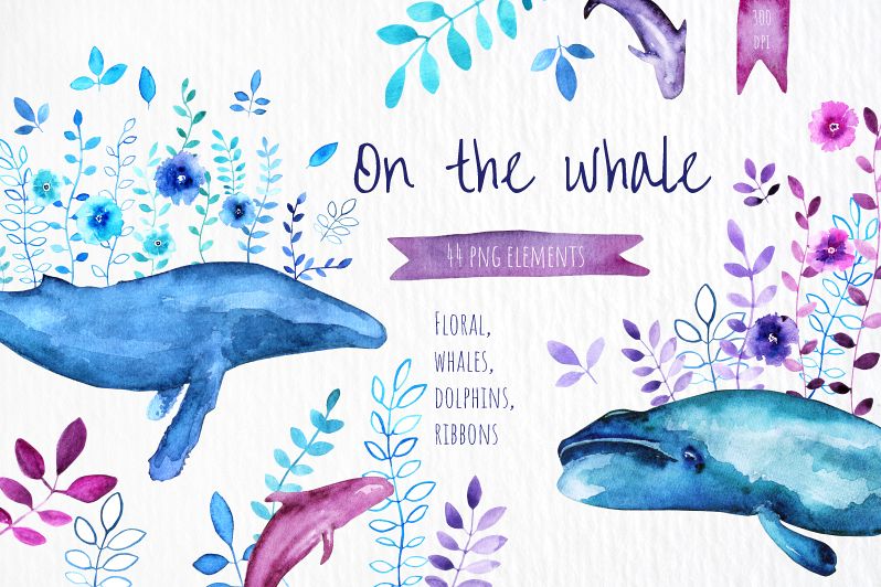 798x532 On The Whale - Whale Watercolor