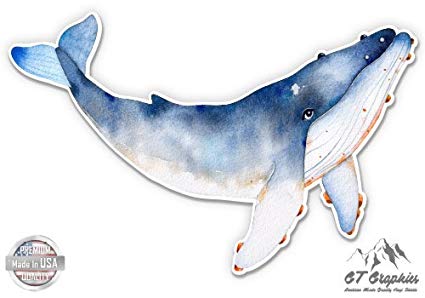 425x298 Whale Watercolor Beautiful - Whale Watercolor