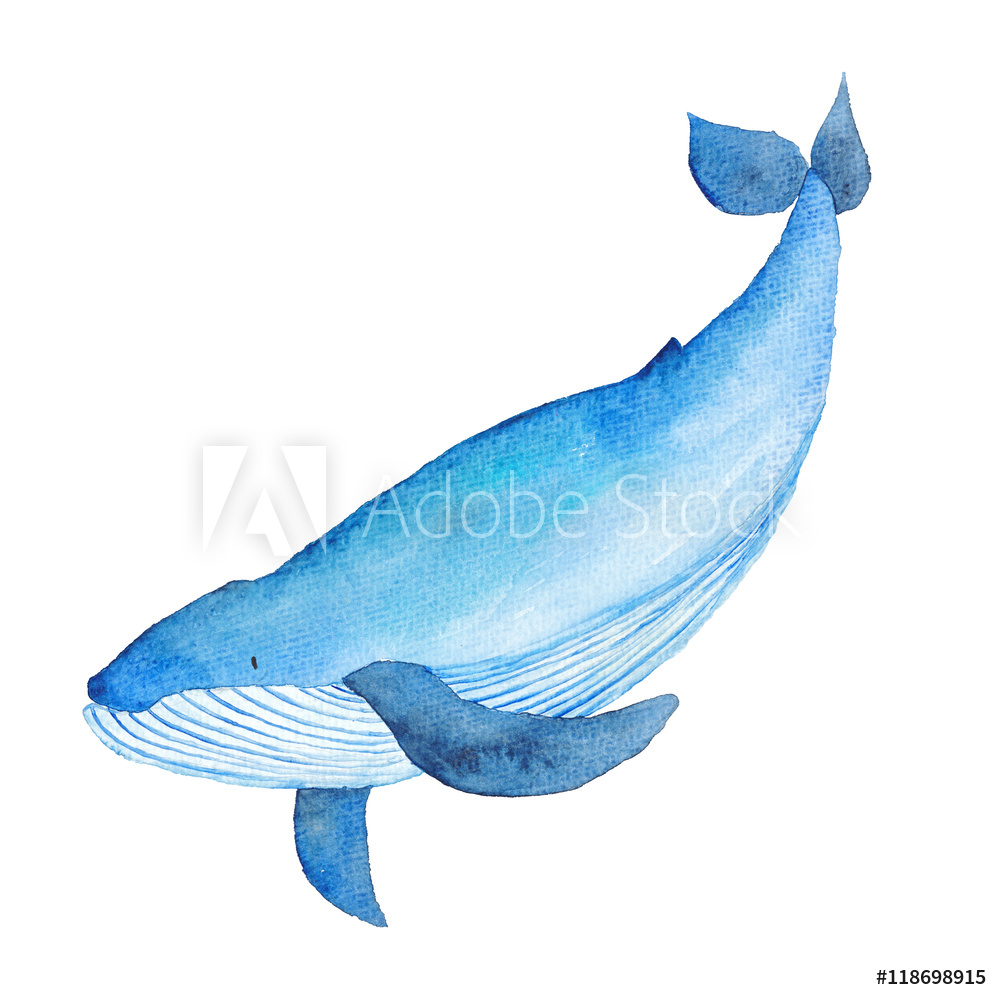 1000x1000 Photo Amp Art Print Blue Whale Watercolor Hand Painted Illustration - Whale Watercolor