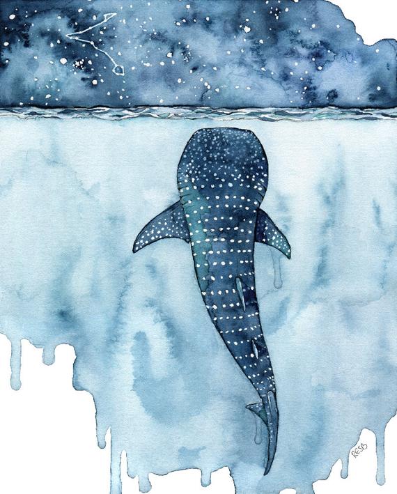 570x709 Watercolor Painting Whale Shark Painting Whale Painting Etsy - Whale Watercolor