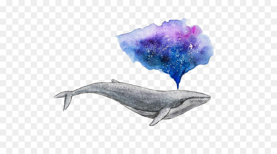 900x500 Watercolor Painting Drawing Whale Art - Whale Watercolor