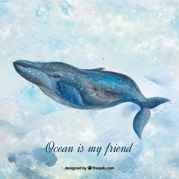 626x626 Watercolor Whale Background With Message The Ocean Is My Friend - Whale Watercolor