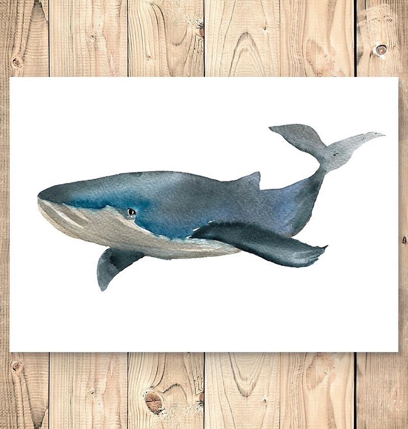 800x842 Whale Vi - Whale Watercolor