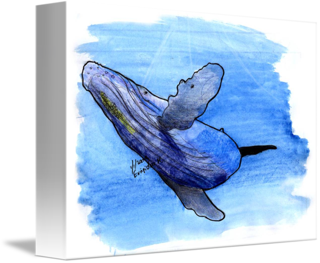 650x535 Humpback Whale Watercolor By M. Evripidou - Whale Watercolor