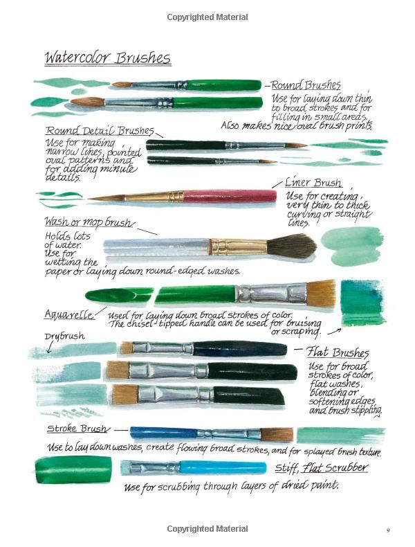 What Brushes To Use For Watercolor at Explore