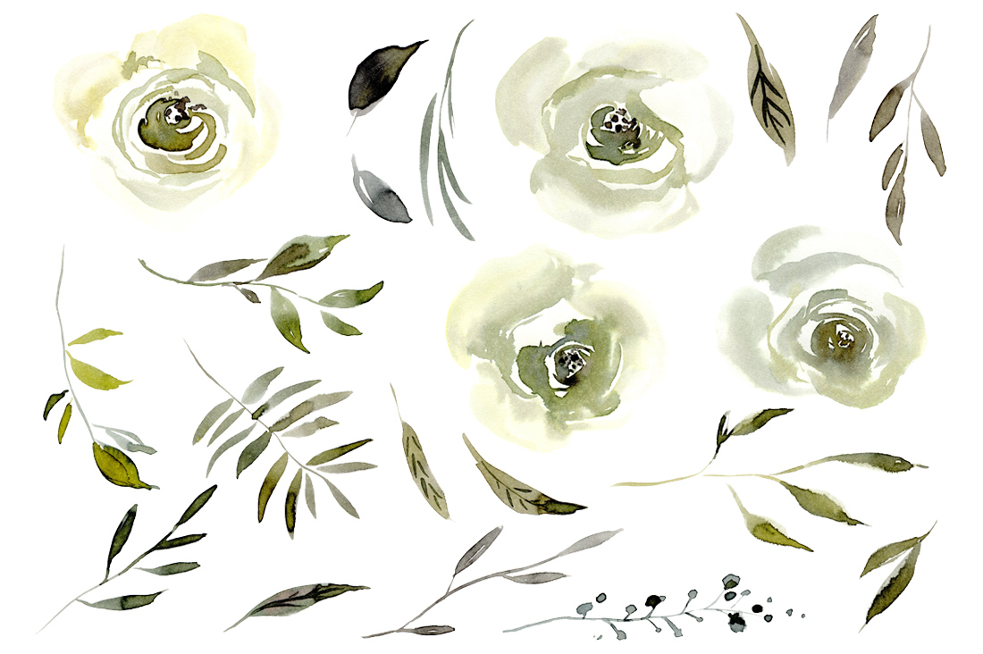 1100x732 Watercolor White Roses Flowers Png Set By Watercolorflowers - White Flower Watercolor