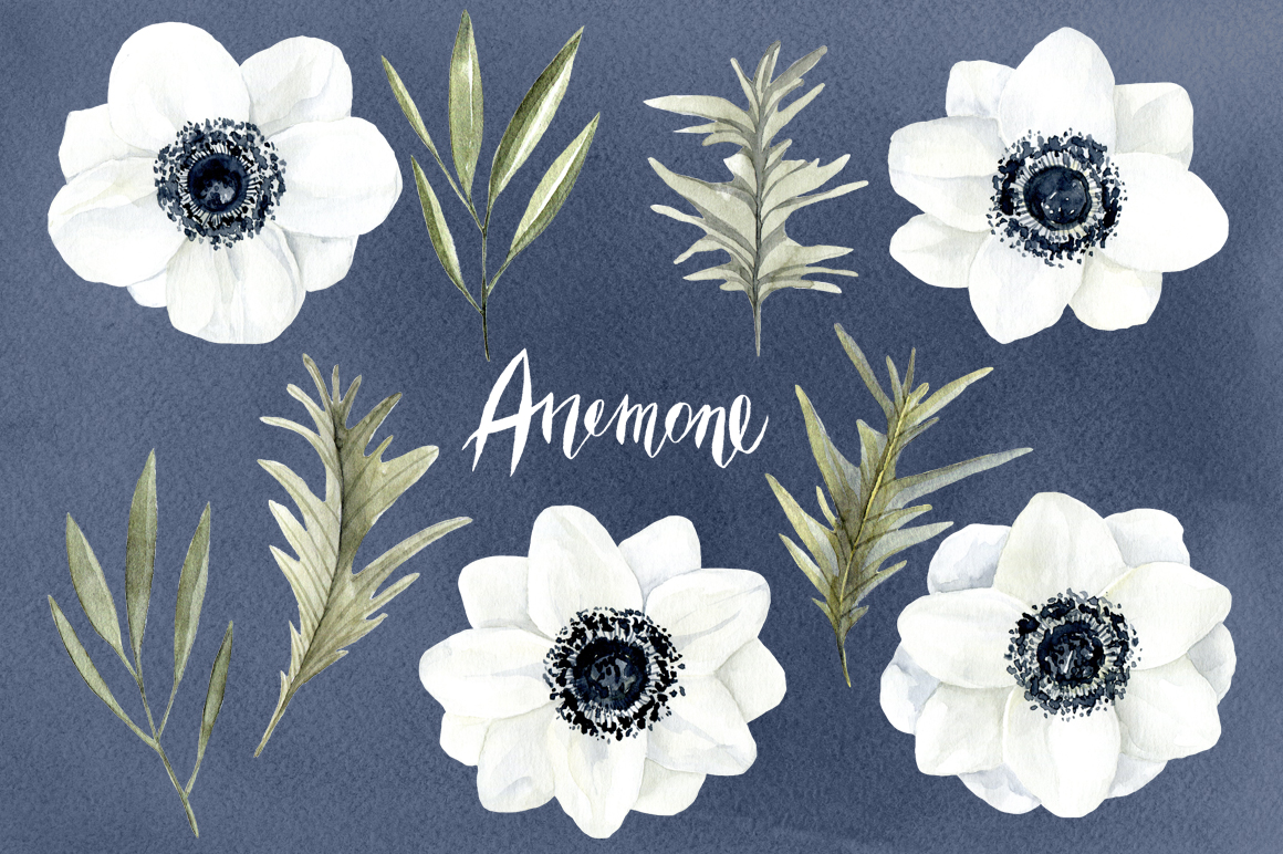 1160x772 Watercolor Anemone White Flowers - White Flower Watercolor
