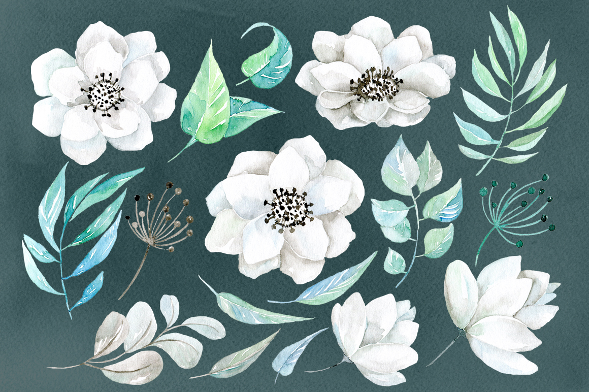 1160x772 Watercolor White Flowers 38 Png - White Flower Watercolor