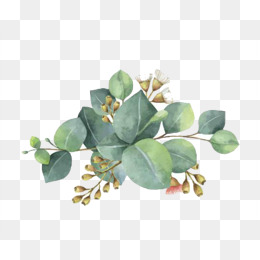 260x260 White Flower Png Images Vectors And Psd Files Free Download On - White Flower Watercolor