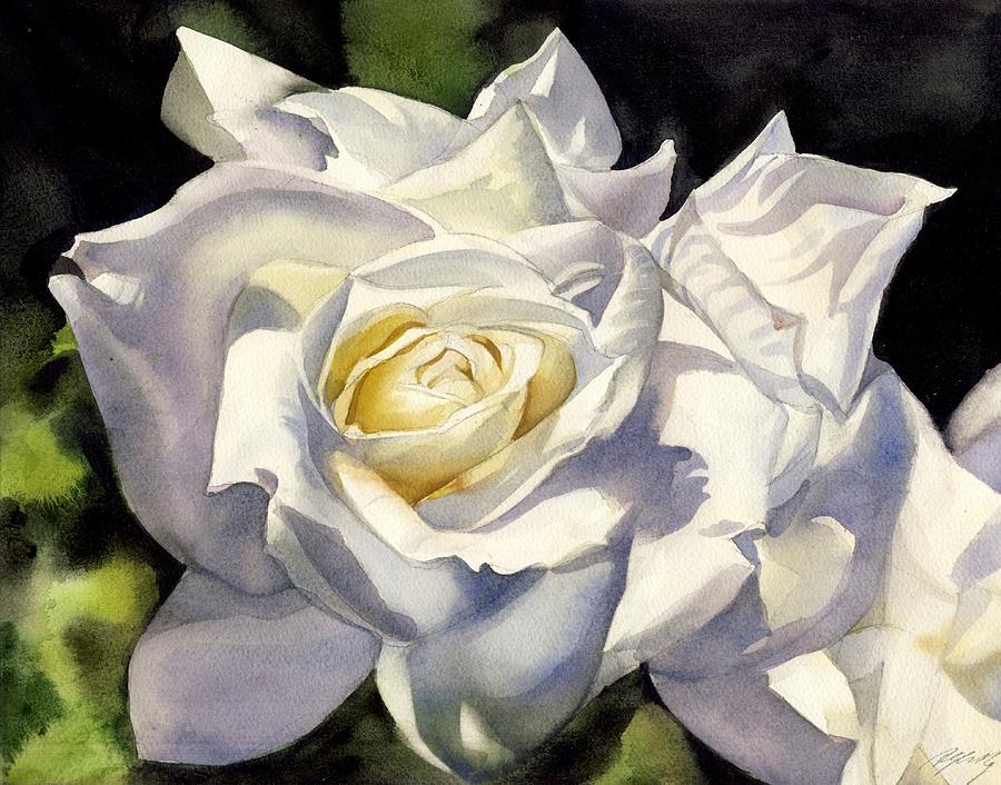 900x706 White Rose Watercolor Painting By Alfred Ng - White Flower Watercolor