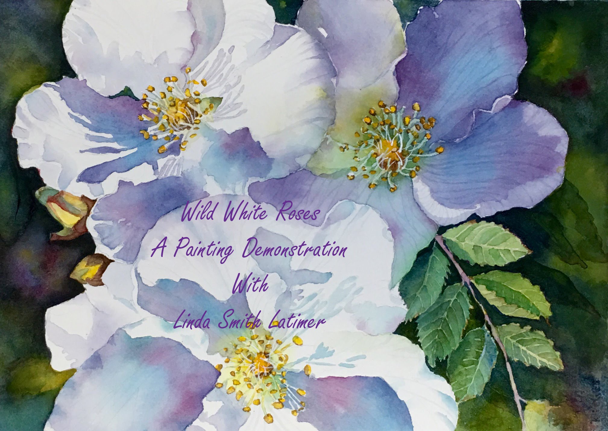 2017x1432 Wild White Roses Part One - White Flower Watercolor