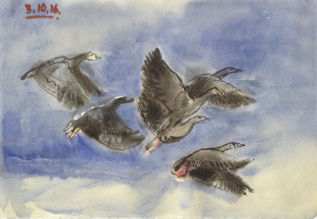 1024x710 Pink Footed Geese, Ink, Watercolor And White Gouache - White Gouache Watercolor