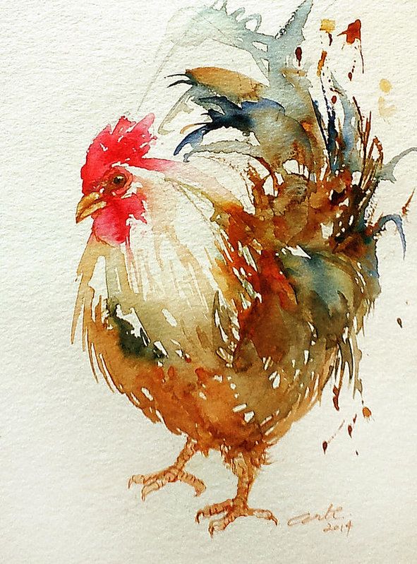 591x799 White Knight Rooster Art Print By Arti Chauhan - White Knight Watercolor