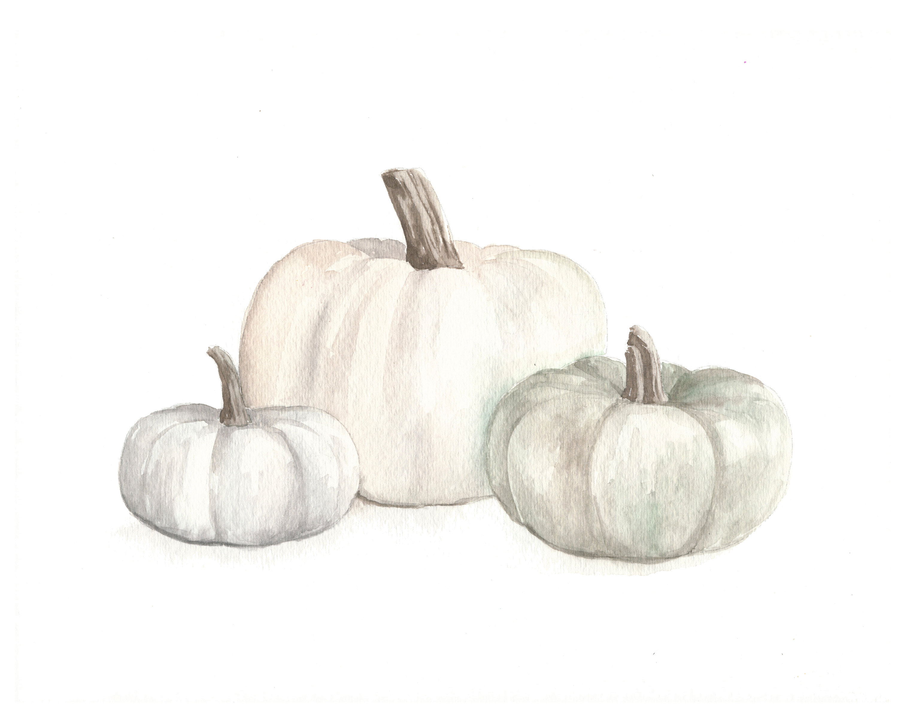 3000x2400 White Pumpkin Watercolor Tutorial - White Watercolor