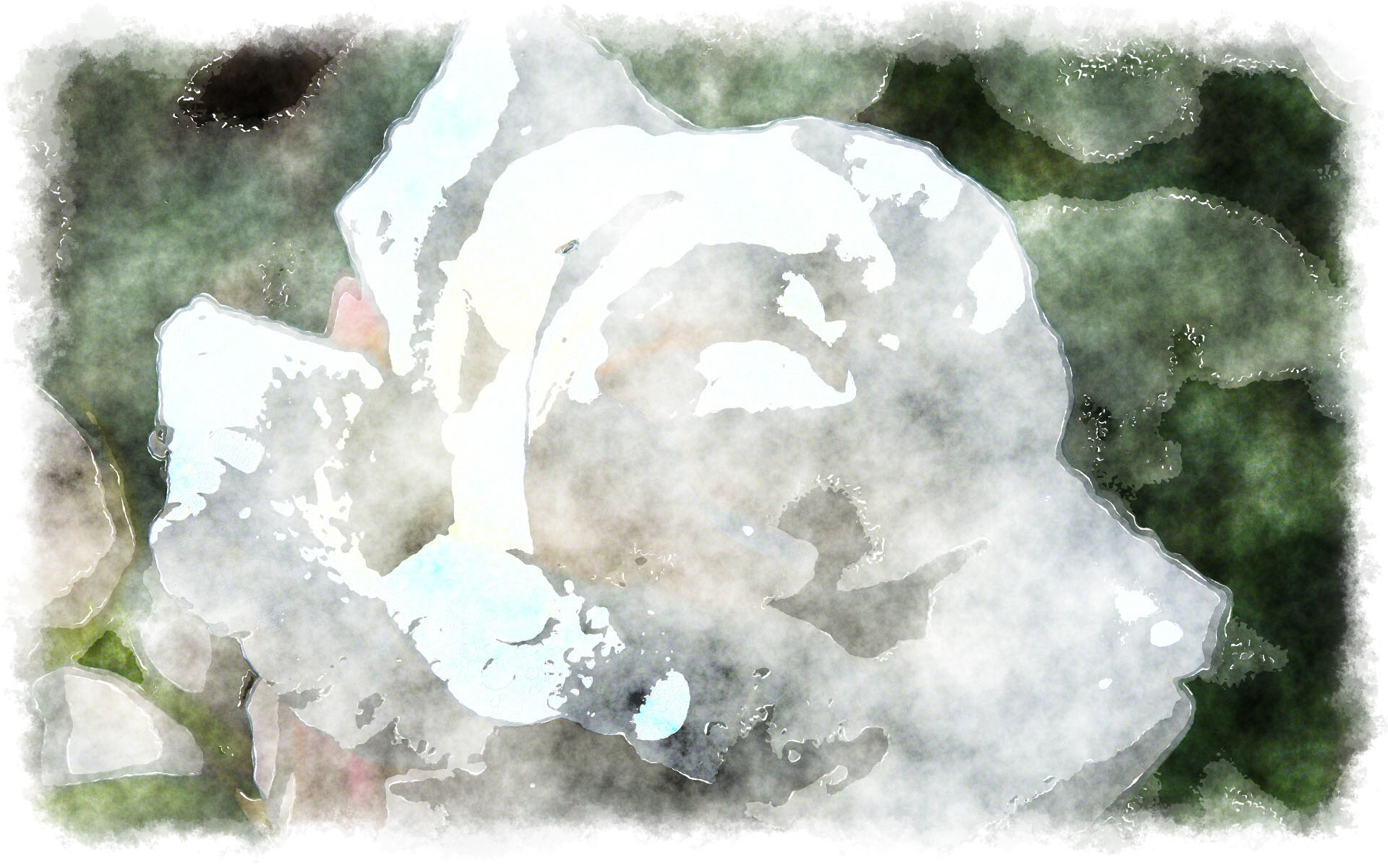 1920x1201 Watercolor Pure White Rose - White Watercolor