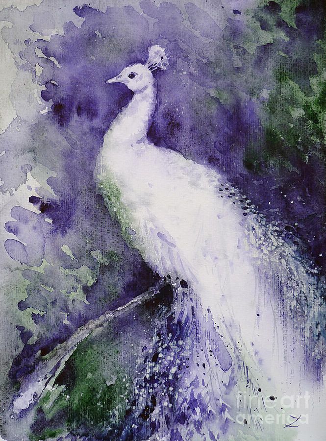 665x900 White Peacock Painting - White Watercolor Paint