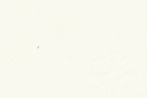 501x333 Drawn Texture Paper Texture - White Watercolor Paper Texture