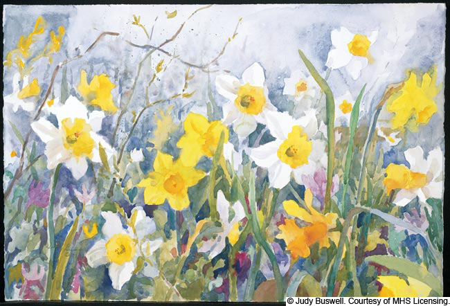 650x442 Judy Buswell Watercolors Original Watercolors, Paintings, Prints - Wildflower Watercolor Paintings