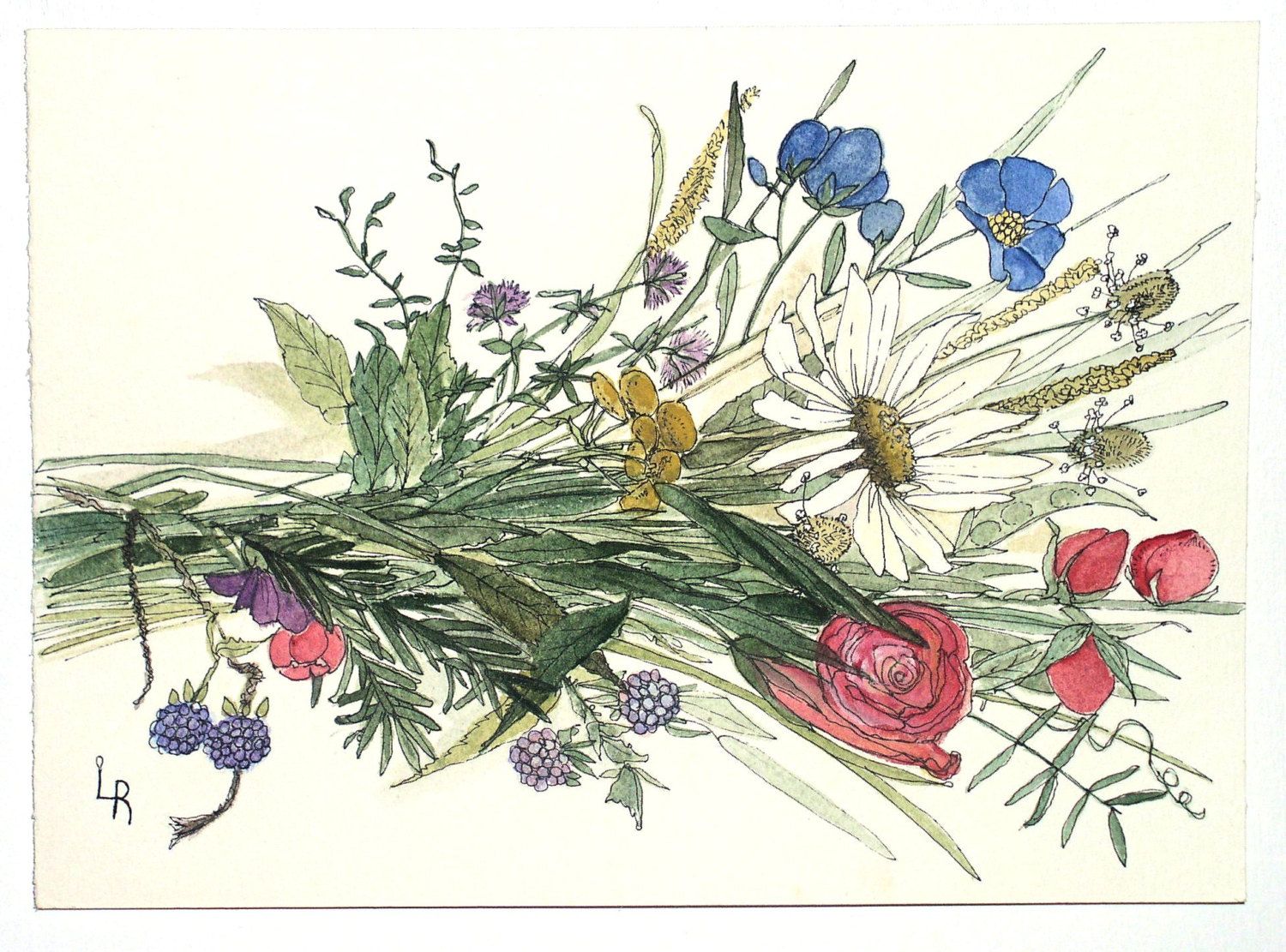 1500x1111 Watercolor Painting Illustration Botanical Garden Flowers - Wildflower Watercolor Paintings