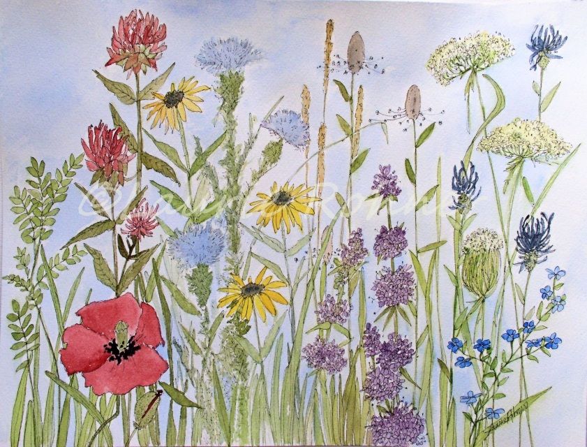 841x640 Wildflower Garden Watercolor Illustration Nature Art Original - Wildflower Watercolor Paintings