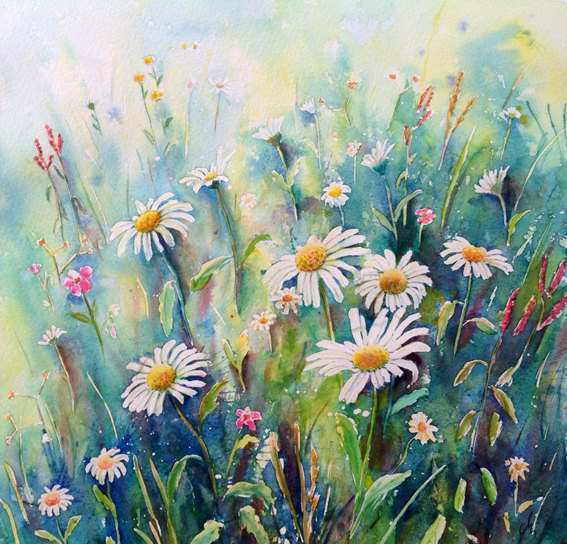 567x544 Wildflower Painting Best Of Original Watercolour Painting Daisy - Wildflower Watercolor Paintings