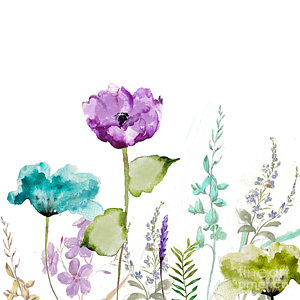 300x300 Wildflower Watercolor Paintings Fine Art America - Wildflower Watercolor Paintings