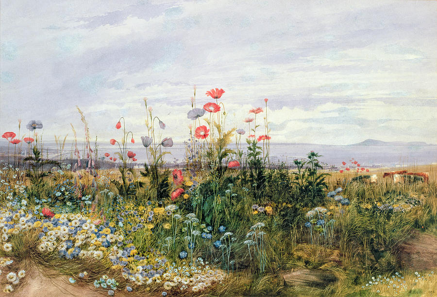 900x613 Wildflowers With A View Of Dublin Dunleary Painting By A Nicholl - Wildflower Watercolor Paintings