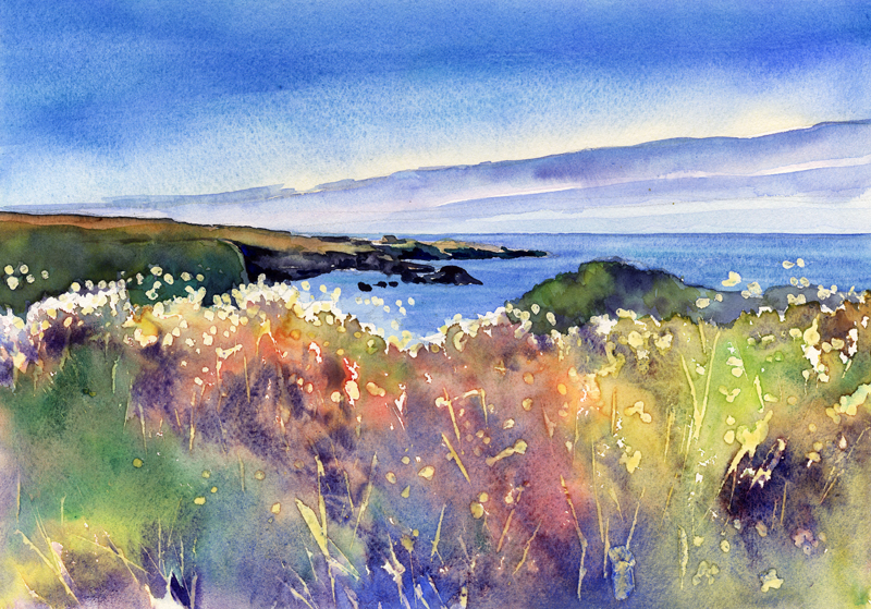 800x559 Wildflowers On The Coast Mariko Blog - Wildflower Watercolor Paintings