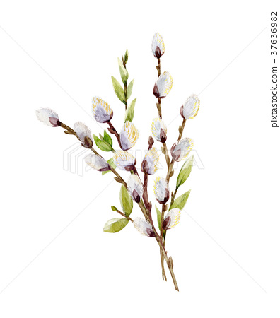 396x450 Watercolor Willow Tree Branches - Willow Tree Watercolor