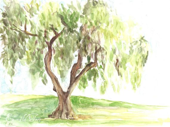 570x426 Weeping Willow Tree Original Watercolor By Emeraldtree On Etsy - Willow Tree Watercolor