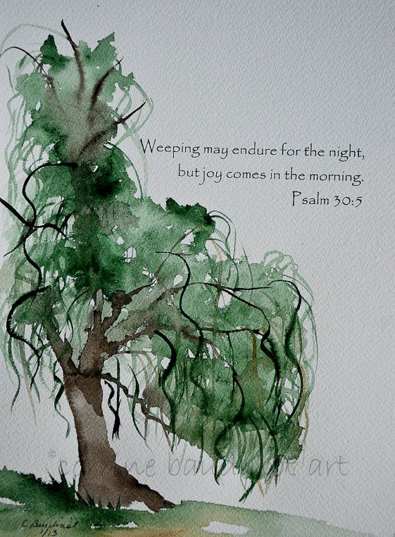 570x774 Weeping Willow Tree Watercolor Painting With Bible Verse Green - Willow Tree Watercolor