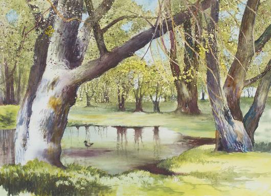 530x385 Spring Willows Watercolor Painting Lake Effect Gallery - Willow Watercolor