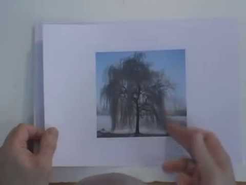480x360 Watercolor Lesson - Willow Watercolor