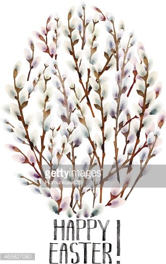 328x522 Watercolor Pussy Willow In Egg Shape Premium Clipart - Willow Watercolor