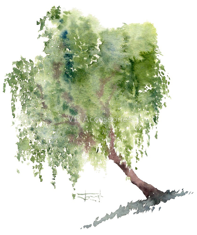 838x1000 Watercolor Drawing Of Willow By Vb Accessories Redbubble - Willow Watercolor