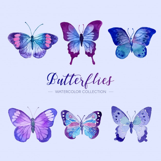 626x626 Butterfly Wings Vectors, Photos And Psd Files Free Download - Wings Watercolor