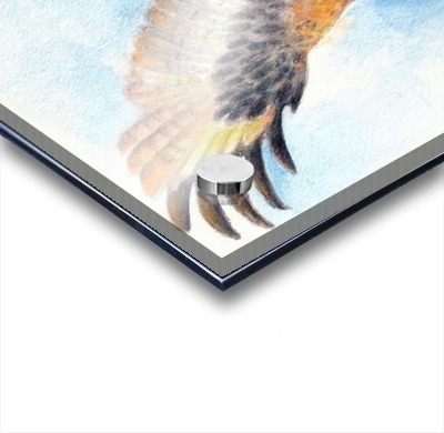 400x390 Red Tail Hawk Wings Watercolor - Wings Watercolor