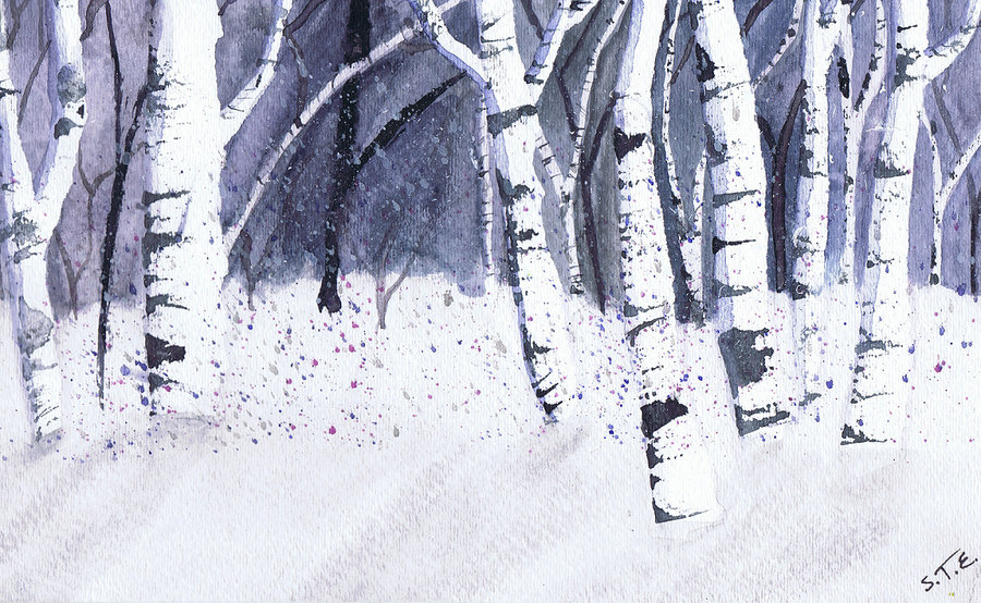 900x554 The Nightly Winter Birch Trees By Rainrivermusic - Winter Birch Trees Watercolor