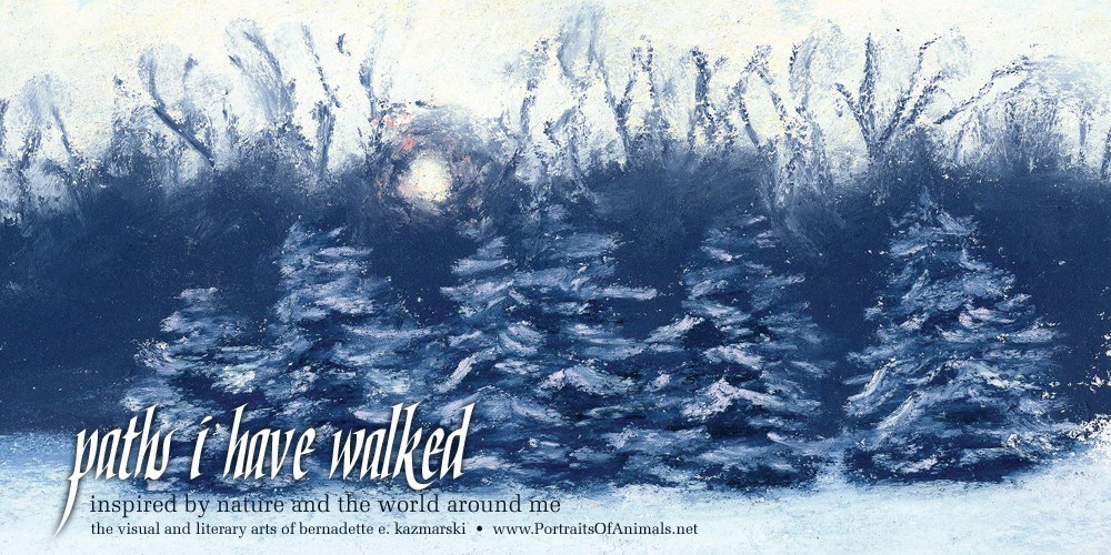 1000x500 Winter Solstice 2017 Nature Amp Wildlife Newsletter - Winter Solstice Watercolor