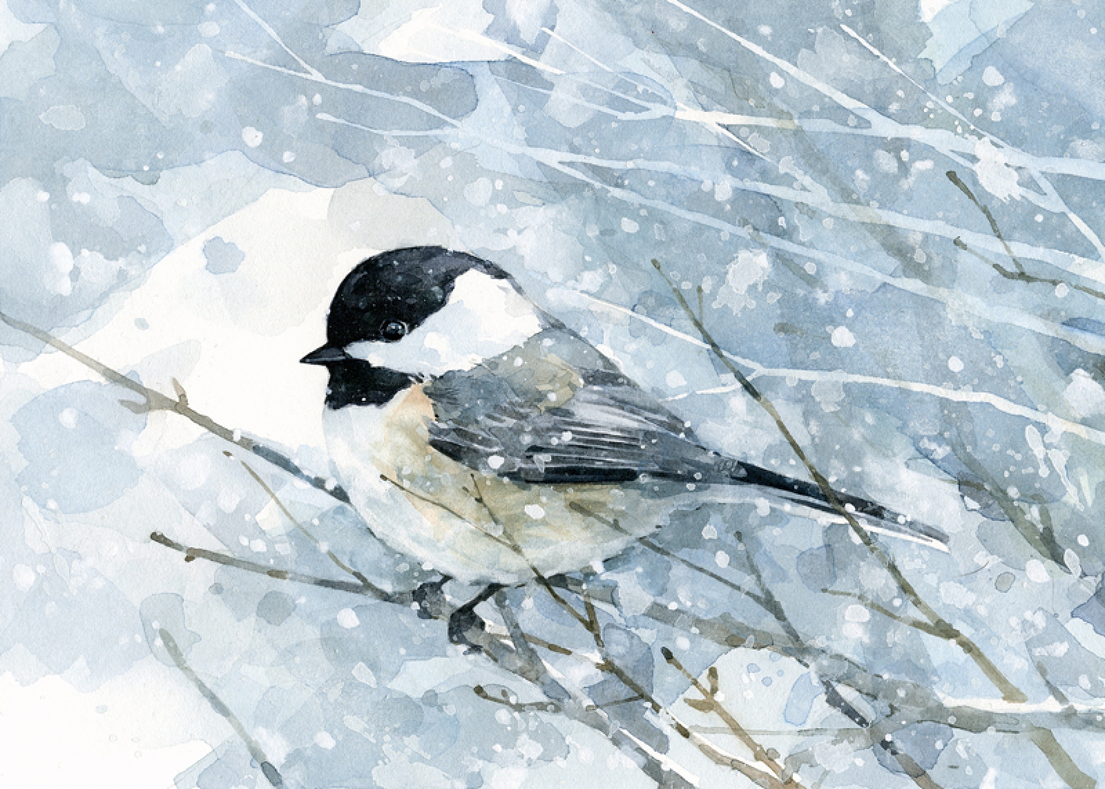 1600x1142 Chickadee In Snow Watercolor Winter Christmas Card Set David - Winter Watercolor