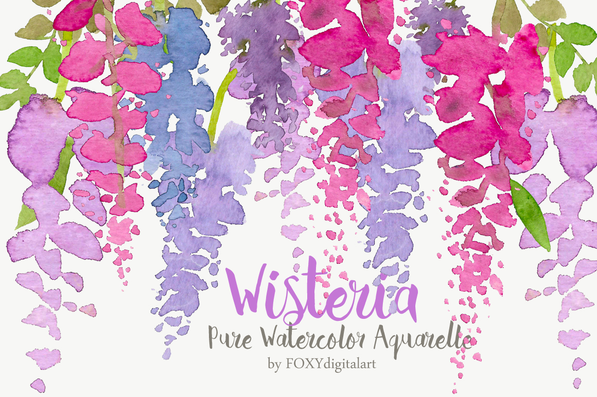 1160x772 Watercolor Flower Clipart Wisteria By Foxydigitalart - Wisteria Watercolor