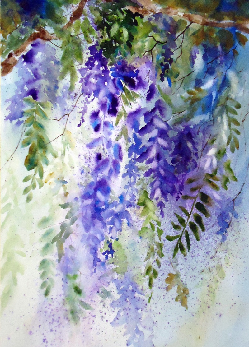800x1116 Wisteria Suggestion - Wisteria Watercolor