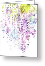 155x226 Wisteria Watercolor Version Framed Print By Sumiyo Toribe - Wisteria Watercolor