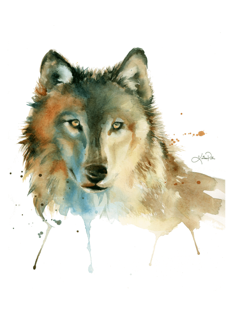 768x1024 Katrina Pete - Wolf Watercolor