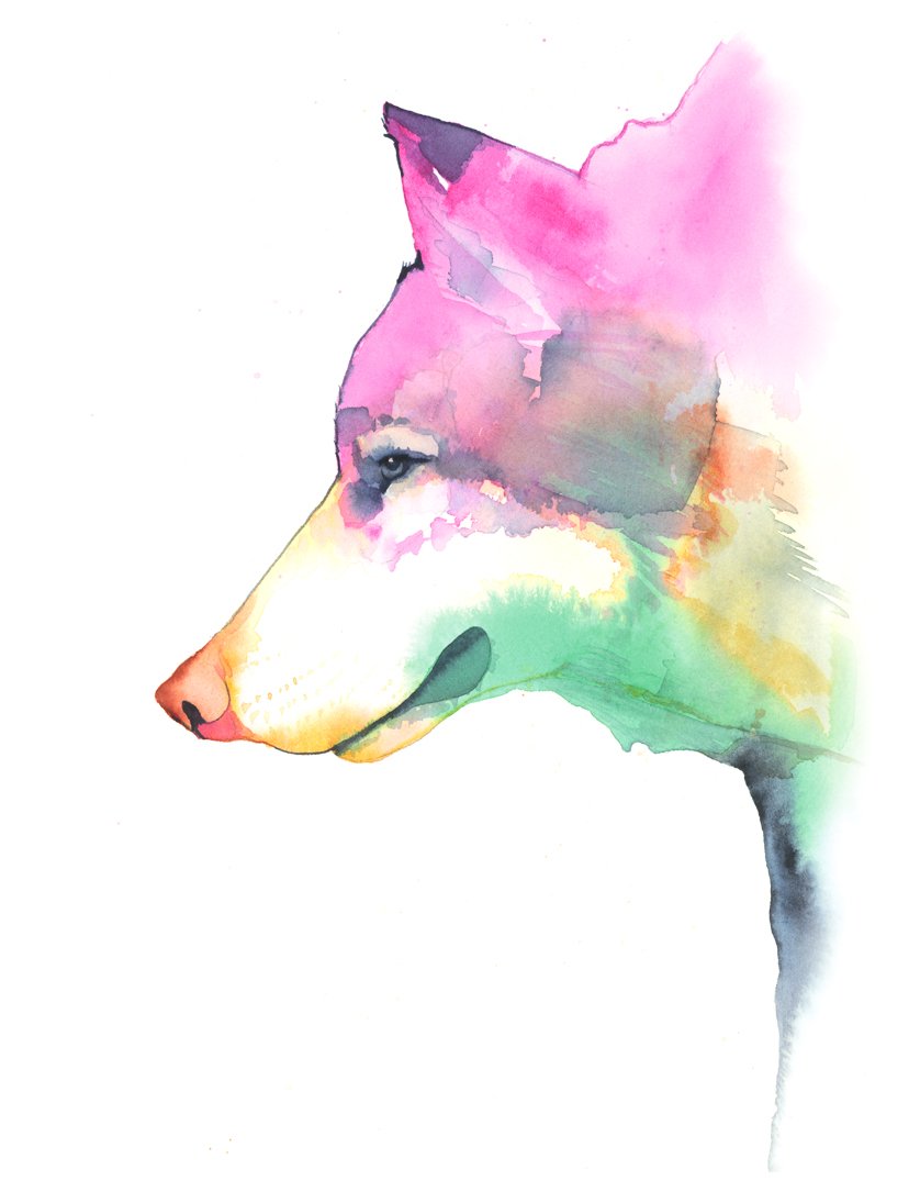 838x1085 Wolf Print Ashley Prejoles Art - Wolf Watercolor